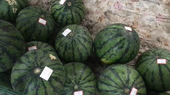 街边免费吃瓜,夏日炎炎解暑神器  第2张